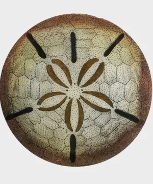 Fashion John Derian Urchin Fig 1 Paperweight Brown